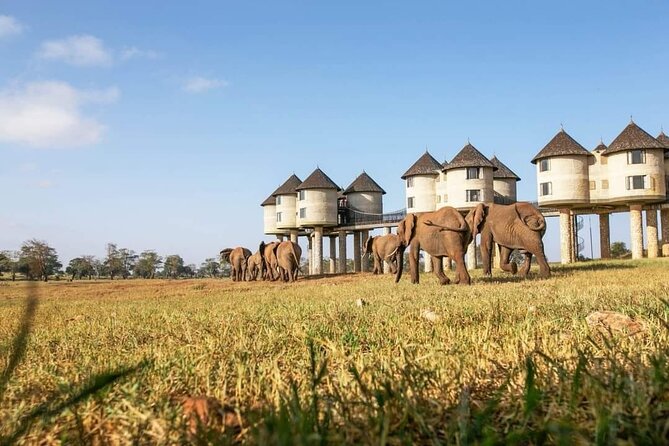 3 Days Safaris Tsavo East National Park and Taita Hills Saltlick - Wildlife Spotting Opportunities
