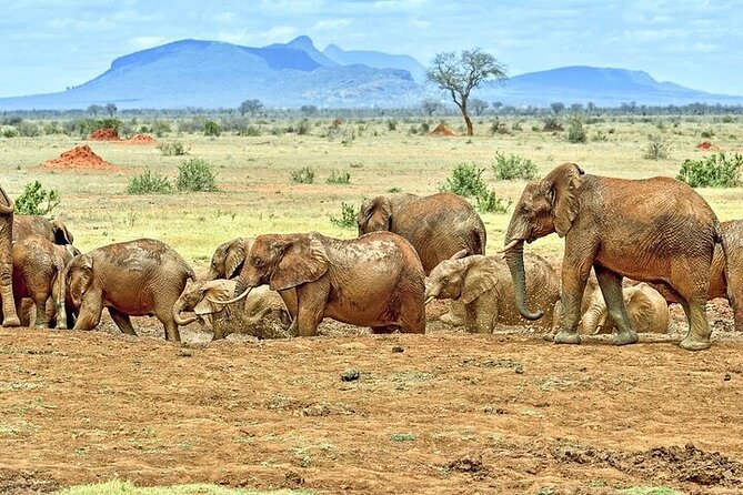 3 Days Safaris Tsavo East National Park and Taita Hills Saltlick - Packing List and Tips