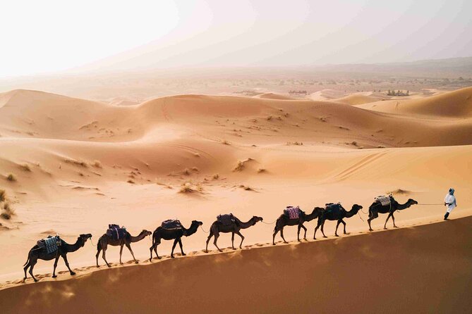 3 Days Sahara Desert Tour From Fez to Marrakech in Small Group - Safety and Accessibility