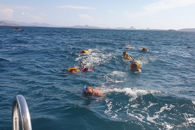 3-Days Sailing Komodo Island,Padar & Manta Point Departure Every Friday - Sailing Itinerary