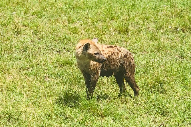 3 Days Samburu National Reserve Safari - Inclusions and Exclusions