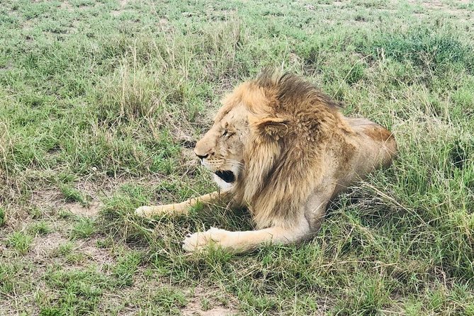 3 Days Samburu National Reserve Safari - The Sum Up