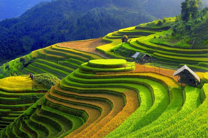 3 Days Sapa Tour With Night Train From Hanoi - Exploring the Picturesque Sapa Countryside