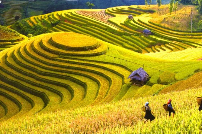 3 Days Sapa Tour With Night Train From Hanoi - Common Questions