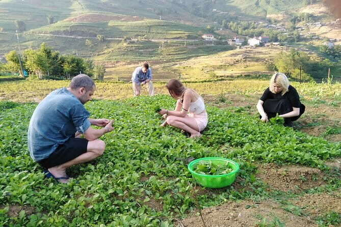 3-Days Sapa Trekking With Local Guide Overnight in Tavan Village - Authentic Experiences That Make a Difference