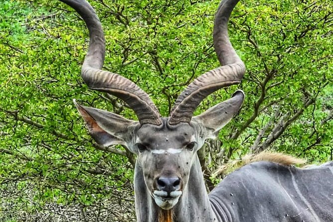 3 Days Selous Game Reserve Adventure (Fly In) - Meals Included
