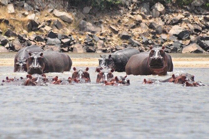 3 Days Selous Game Reserve Adventure (Fly In) - Booking Details