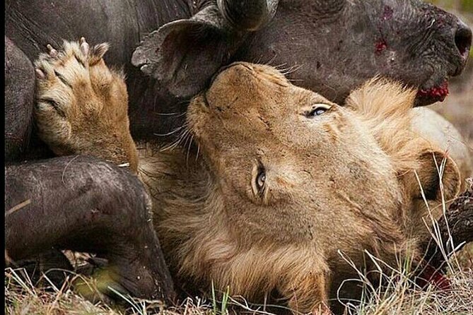 3 Days Selous Game Reserve Adventure (Fly In) - Cancellation Policy