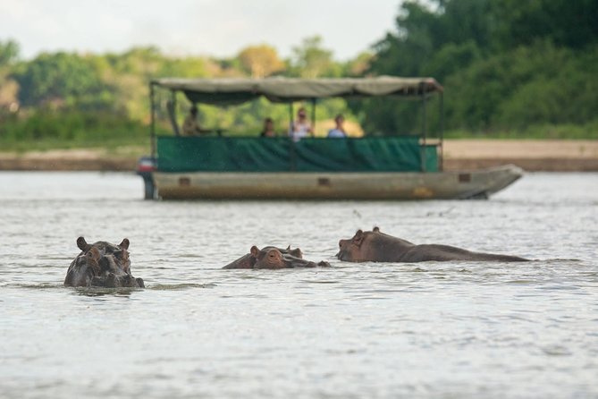 3 Days Selous Game Reserve Driver From Dar Es Salaam - Good To Know