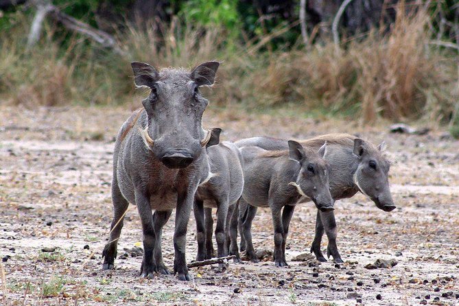 3 Days Selous Game Reserve Driver From Dar Es Salaam - Booking Flexibility