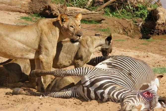 3 Days Selous Game Reserve Fly From Zanzibar - Booking Information