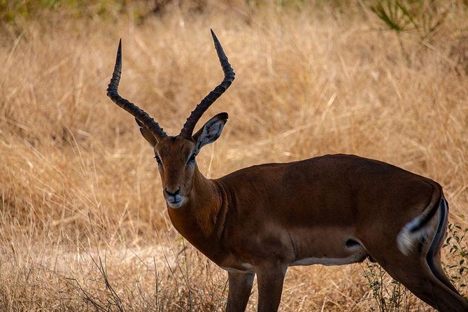 3 Days Selous Game Reserve Safari - Meals Included