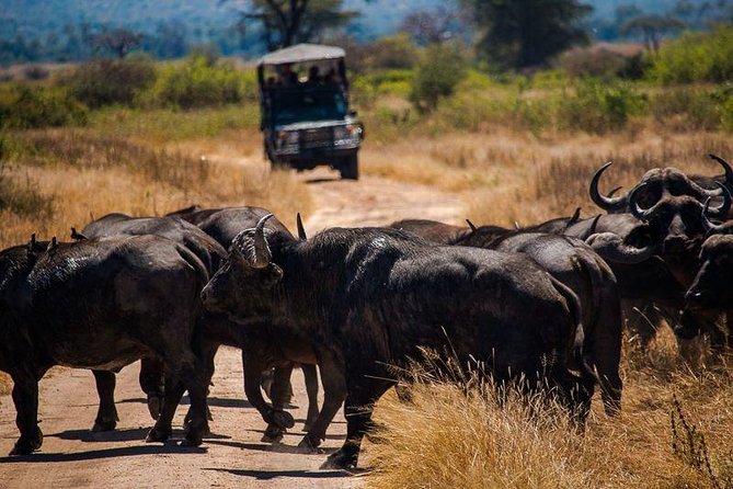3 Days Selous Game Reserve Safari - Additional Information