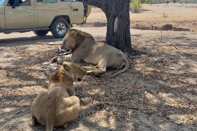 3 DAYS SELOUS SAFARI From Dar Es Salaam by Car, Flight Zanzibar - Meeting Point Details