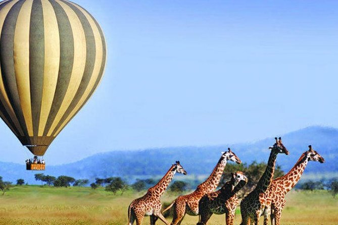 3-Days Serengeti Balloon Flight Experience - Good To Know