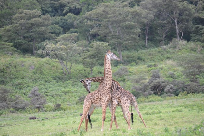 3 Days Serengeti & Ngorongoro Crater Group Safari - Booking and Cancellation Policy