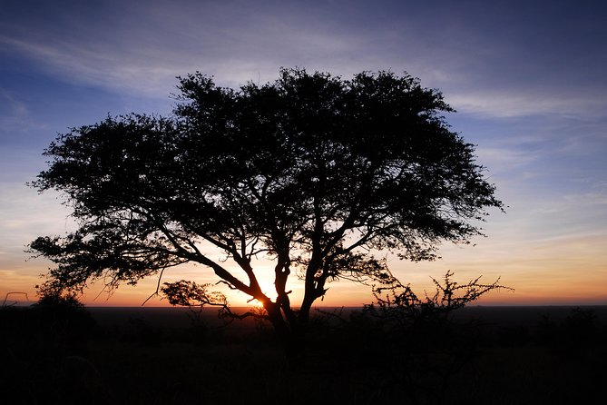 3 Days Serengeti & Ngorongoro Creater - The Sum Up