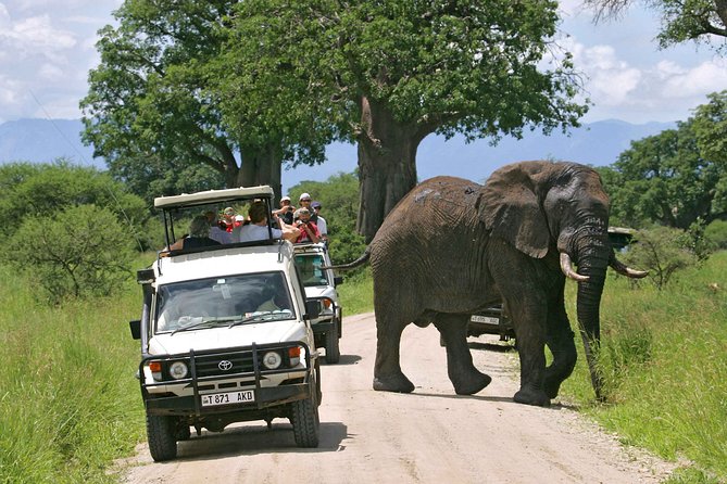 3 Days Serengeti Private Safari Tanzania - Inclusions and Exclusions