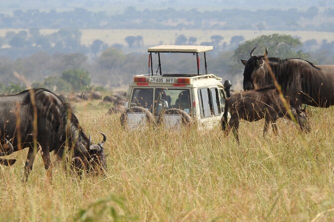 3 Days Share Group Safari From Arusha - Pricing and Reviews