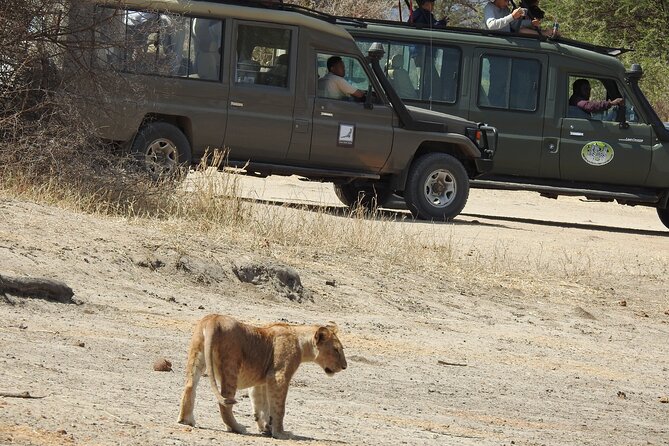 3 Days Share Group Safari From Arusha - Frequently Asked Questions
