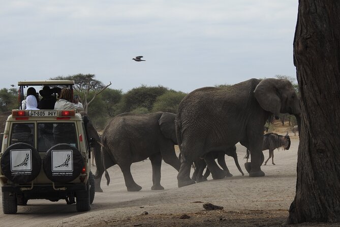 3 Days Share Group Safari From Arusha - The Sum Up