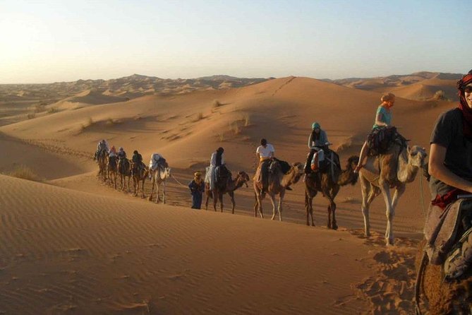 3-days Shared-Group Desert Tour From Marrakech to Merzouga - Price and Booking