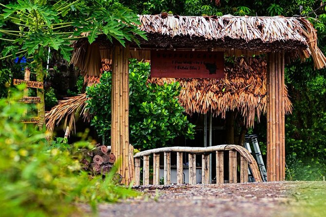 3 Days Shared Group Eco Tour in Ninh Binh - Tour Details