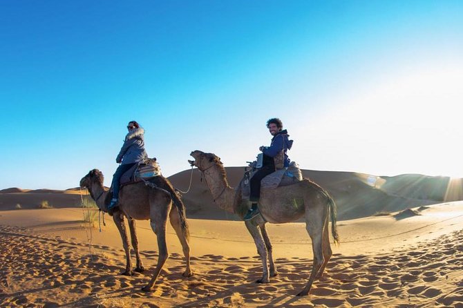 3 Days Shared Group Tour From Marrakech To Merzouga Desert - Tour Highlights and Inclusions