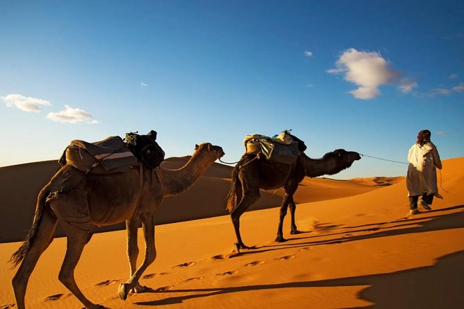 3-Days Shared Merzouga Desert Tour From Marrakech - Pricing and Booking Details
