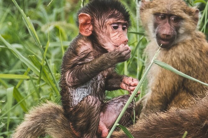 3 Days Shared Safari Tour Tanzania - Booking Information