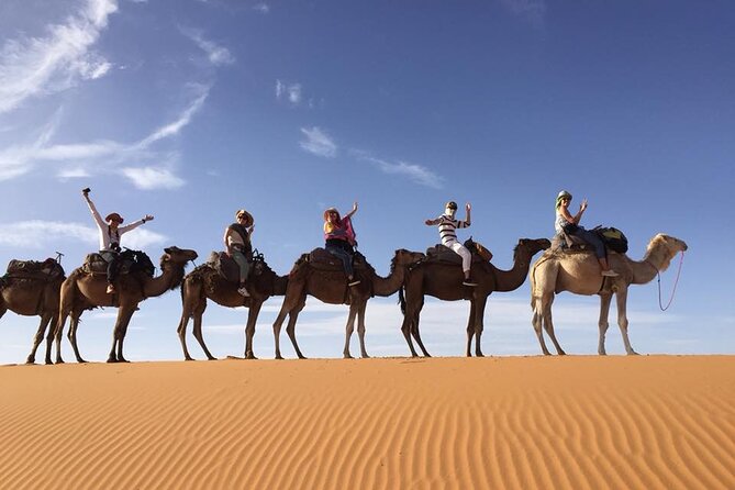 3 Days - Shared Sahara Desert Tour From Fes to Marrakech - Inclusions and Exclusions