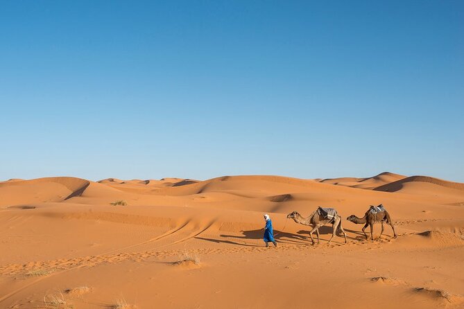 3 Days - Shared Sahara Desert Tour From Fes to Marrakech - Accommodation and Activities