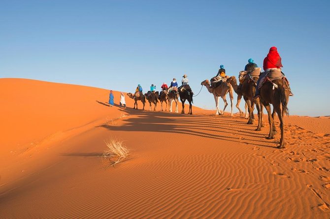 3 Days Shared Tour From Marrakech to Merzouga Dunes and Back to Fez - The Sum Up