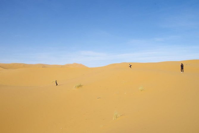 3 Days Shared Tour From Marrakech to Sahara Desert - Merzouga- - Meeting and Pickup Information