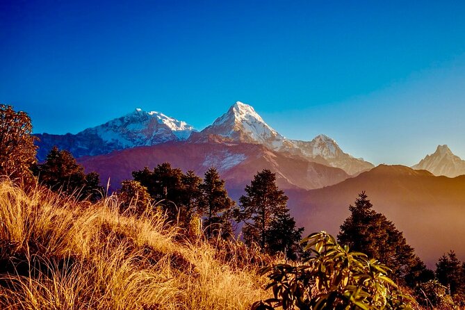 3 Days Short Poon Hill Trekking in Pokhara - Trekking Itinerary