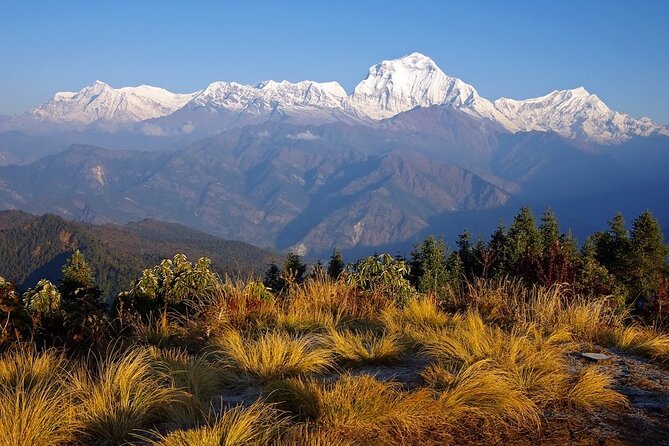 3 Days Short Poon Hill Trekking in Pokhara - Price and Booking Information