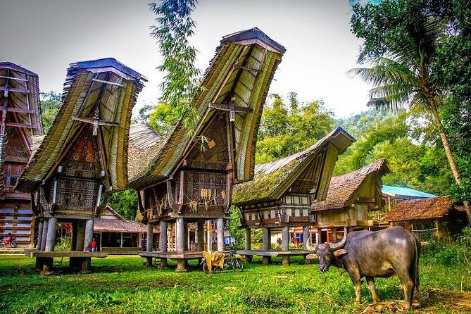 3 Days Tana Toraja From Makassar: Kete Kesu Village, Menhir to Funeral Burial - Highlights of Kete Kesu Village