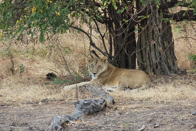3 Days Tanzania Safari - Emnel Adventures - Good To Know
