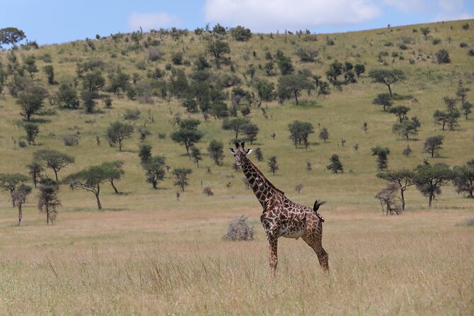 3 Days Tanzania Safari - Emnel Adventures - Itinerary Overview