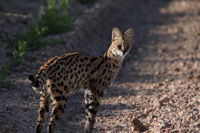 3 Days Tanzania Safari - Emnel Adventures - Customer Reviews