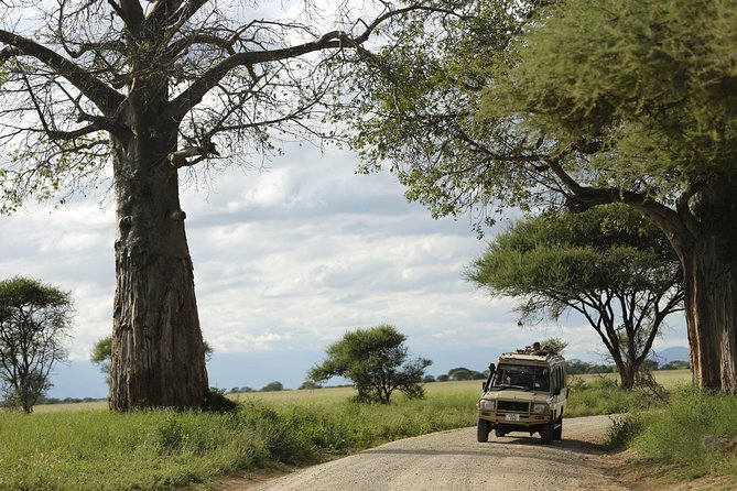 3-Days Tanzania Safari Tours - Reviews and Ratings