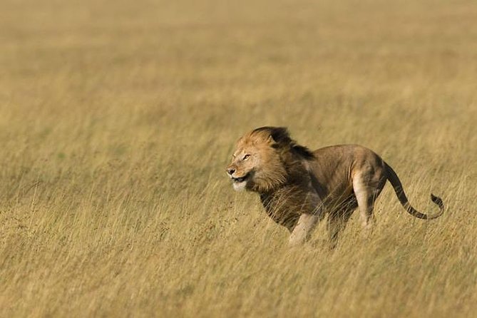 3 Days Tanzania Short and Spicy - Booking Information