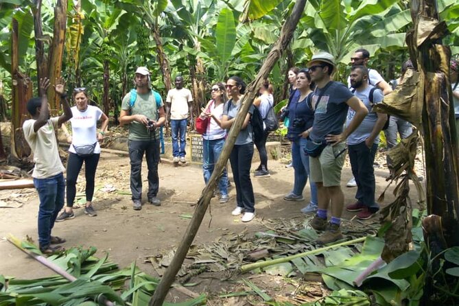 3 Days Tarangire, Lake Manyara and Ngorongoro Crater Tour - Tour Inclusions