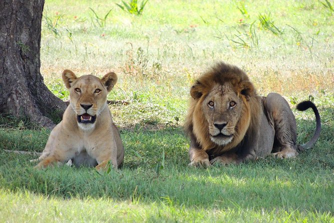 3 Days Tarangire, Manyara & Ngorongoro Mid-Range Camping Safari Tour Tanzania - Frequently Asked Questions