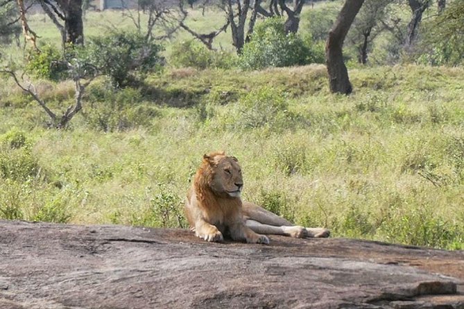3 Days Tarangire National Park, Ngorongoro Crater & Lake Manyara - Booking Information