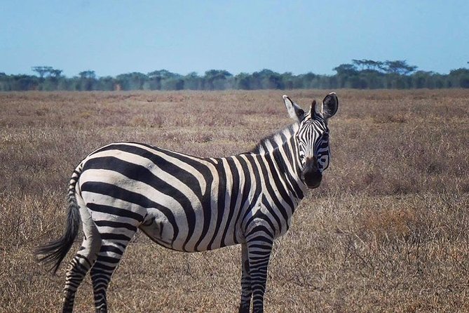 3 Days Tarangire National Park, Ngorongoro Crater & Lake Manyara - The Sum Up