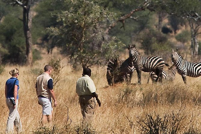 3 Days Tarangire National Park Wildlife Safari - Park Entrance Information