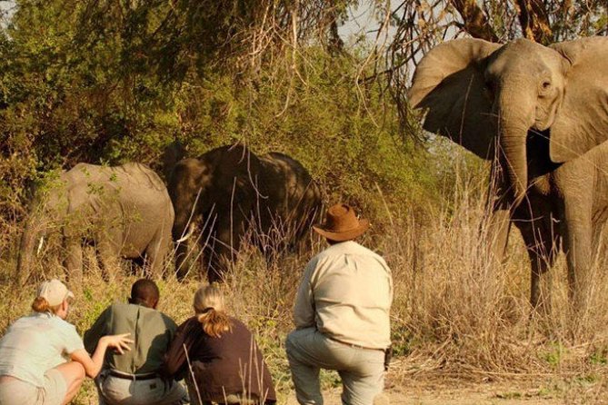 3 Days Tarangire National Park Wildlife Safari - Booking and Pricing