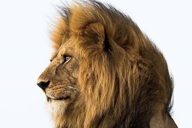 3 Days Tarangire, Ngorongoro Craeter & Lake Manyara - Itinerary Overview