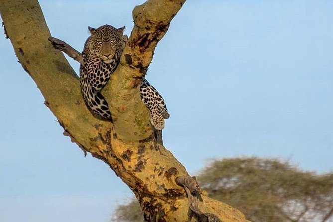 3 Days Tarangire, Ngorongoro Craeter & Lake Manyara - Booking Information